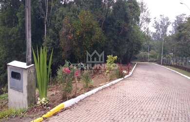 Imagem 2: TERRENO RESIDENCIAL em Igrejinha - RS, Figueira