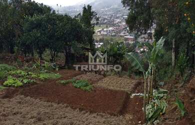 Imagem 4: TERRENO RESIDENCIAL em Igrejinha - RS, Figueira