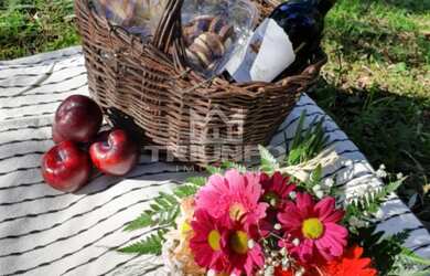 Imagem: O terreno possui 627m² de Área Privada, Imóvel novo e está