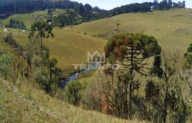 Imagem: A fazenda possui 3m² de Área e está localizado em Cambará