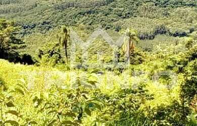 Imagem: A fazenda possui 5m² de Área e está localizado em Canta