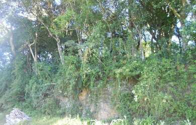 Imagem: O terreno possui 405m² de Área e está localizado em Juriti