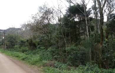 Imagem: A fazenda está localizado em Linha Pirajá, Nova Petrópolis