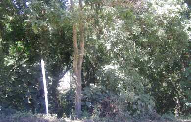 Imagem: O terreno possui 577m² de Área e está localizado em Logradouro