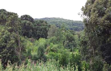 Imagem: O terreno possui 4.606m² de Área e está localizado em Pinhal