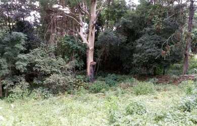 Imagem: O terreno possui 1.092m² de Área e está localizado em Linha