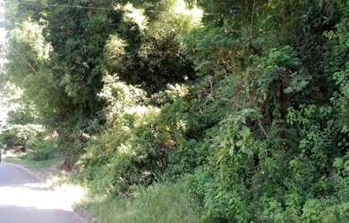 Imagem: O terreno possui 375m² de Área e está localizado em Piá