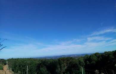 Imagem: A fazenda possui 2m² de Área e está localizado em Linha