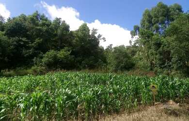 Imagem: O terreno possui 450m² de Área e está localizado em Germânia