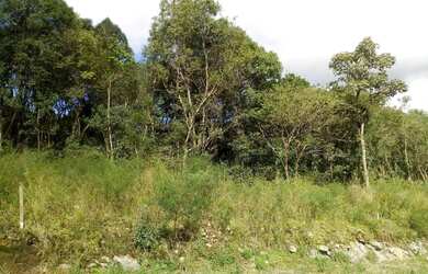 Imagem: O terreno possui 388m² de Área e está localizado em Linha