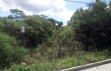 Imagem: O terreno possui 370m² de Área e está localizado em Linha