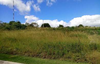 Imagem: O terreno possui 369m² de Área e está localizado em Linha