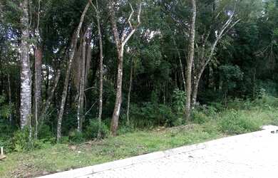 Imagem: O terreno possui 370m² de Área e está localizado em Linha