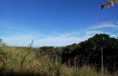 Imagem: A fazenda possui 7m² de Área e está localizado em Linha