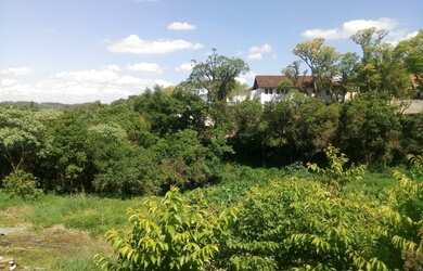 Imagem: O terreno está localizado em Vila Olinda, Nova Petrópolis