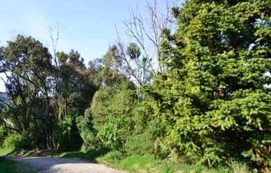 Imagem: O terreno possui 19.025m² de Área e está localizado em Pousada