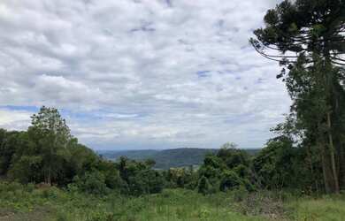 Imagem: A fazenda possui 5m² de Área e está localizado em Nove Colônias