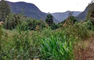 Imagem: A fazenda possui 5m² de Área e está localizado em São Jose
