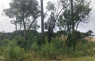 Imagem: O terreno possui 384m² de Área e está localizado em Germânia