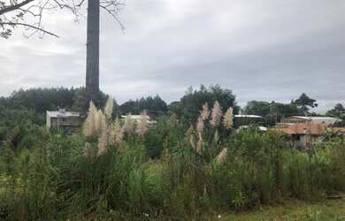 Imagem: O terreno possui 384m² de Área e está localizado em Germânia