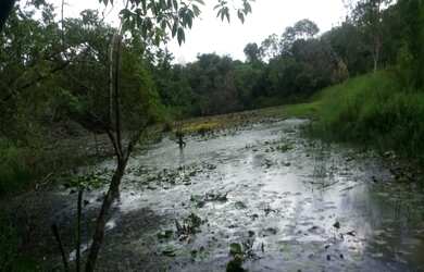 Imagem: A fazenda possui 225.000m² de Área e está localizado em