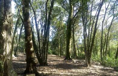 Imagem: O terreno possui 1.646m² de Área e está localizado em Pousada