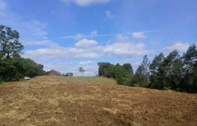 Imagem: A fazenda possui 4m² de Área e está localizado em Pinhal