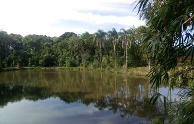 Imagem: A fazenda possui 4m² de Área e está localizado em Pinhal