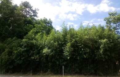 Imagem: O terreno possui 867m² de Área e está localizado em Vale