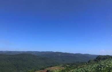 Imagem: A fazenda possui 3m² de Área e está localizado em Linha