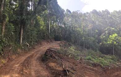 Imagem: A fazenda possui 3m² de Área e está localizado em Linha