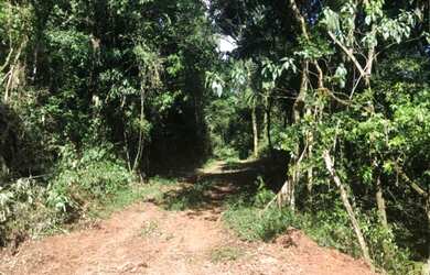 Imagem: A fazenda possui 3m² de Área e está localizado em Linha