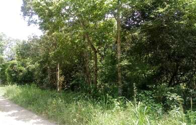 Imagem: A fazenda possui 3m² de Área e está localizado em Linha