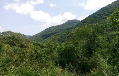 Imagem: A fazenda possui 3m² de Área e está localizado em Linha
