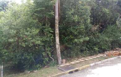 Imagem: O terreno possui 514m² de Área e está localizado em Juriti