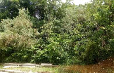 Imagem: O terreno possui 514m² de Área e está localizado em Juriti