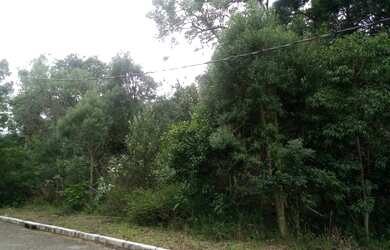 Imagem: O terreno possui 525m² de Área e está localizado em Juriti