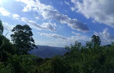 Imagem: A fazenda possui 3m² de Área e está localizado em Fazenda
