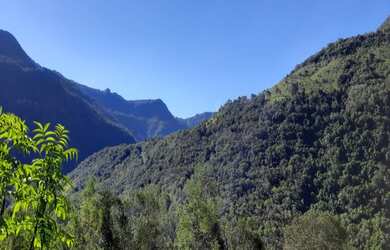 Imagem: A fazenda possui 3m² de Área e está localizado em Linha