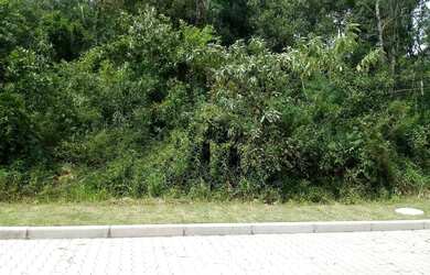 Imagem: O terreno possui 370m² de Área e está localizado em Linha