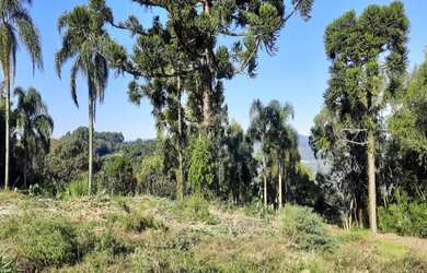 Imagem: O terreno possui 391m² de Área e está localizado em Pinhal