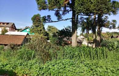 Imagem: O terreno possui 362m² de Área e está localizado em Pinhal