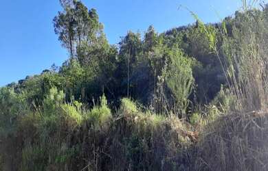 Imagem: O terreno possui 462m² de Área e está localizado em Pinhal