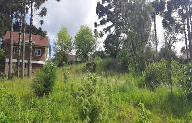 Imagem: O terreno possui 554m² de Área e está localizado em Recanto