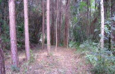 Imagem: A fazenda possui 3m² de Área e está localizado em Vale Verde
