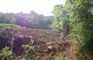 Imagem: A fazenda possui 4m² de Área e está localizado em Morro