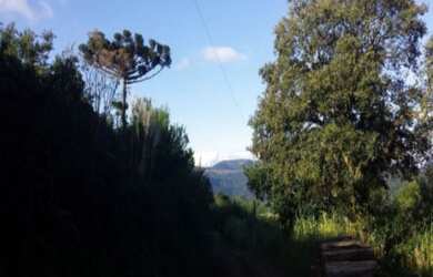 Imagem: A fazenda possui 1m² de Área e está localizado em São Jacó