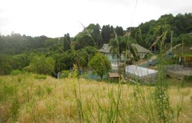 Imagem: O terreno possui 450m² de Área e está localizado em Juriti