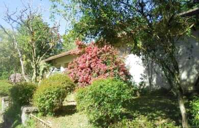 Imagem: O terreno possui 15.000m² de Área e está localizado em Centro