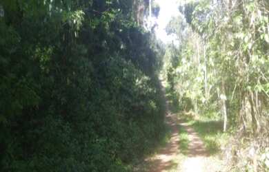 Imagem: A fazenda possui 3m² de Área e está localizado em Linha